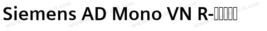 Siemens AD Mono VN R字体转换